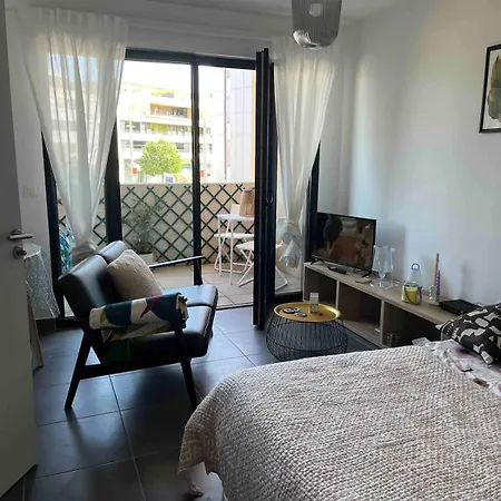 Apartment Grand Avec Parking Et Wifi *