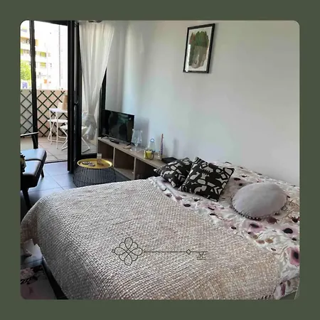 Apartamento Grand Avec Parking Et Wifi