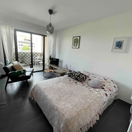 Grand Avec Parking Et Wifi Apartment *